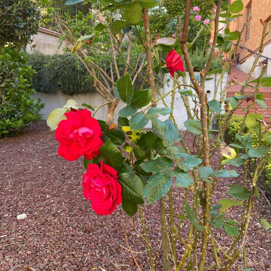 B&B Al Viale Macerata Ngoại thất bức ảnh